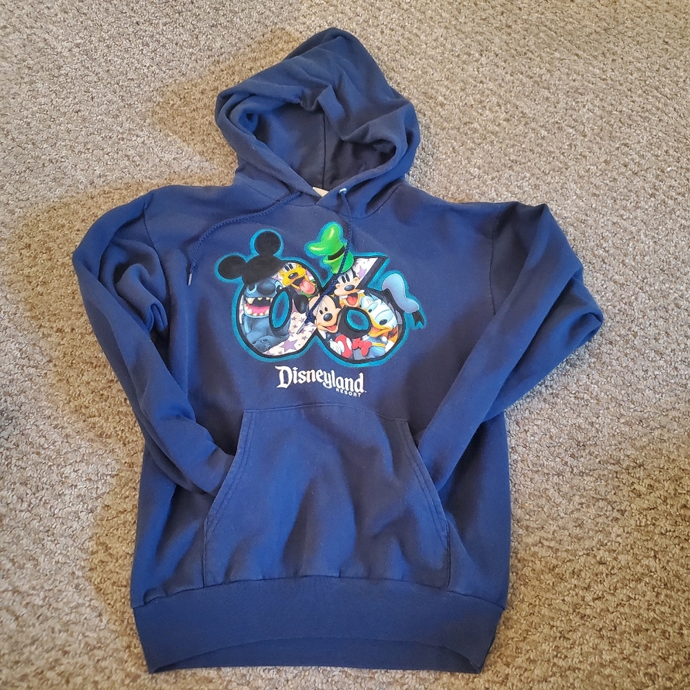 Vintage 2006 Disneyland resort hoodie